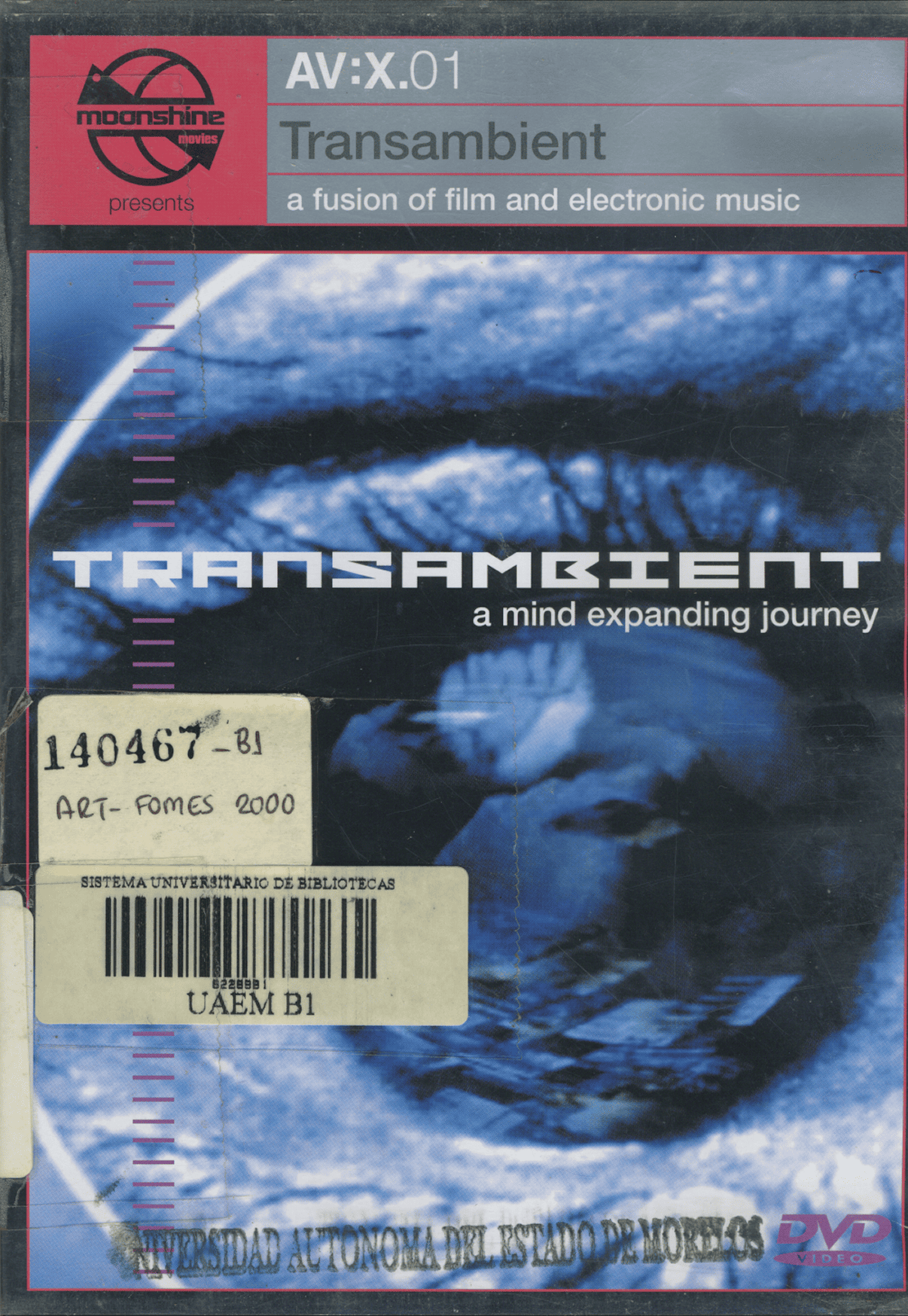 Transambient